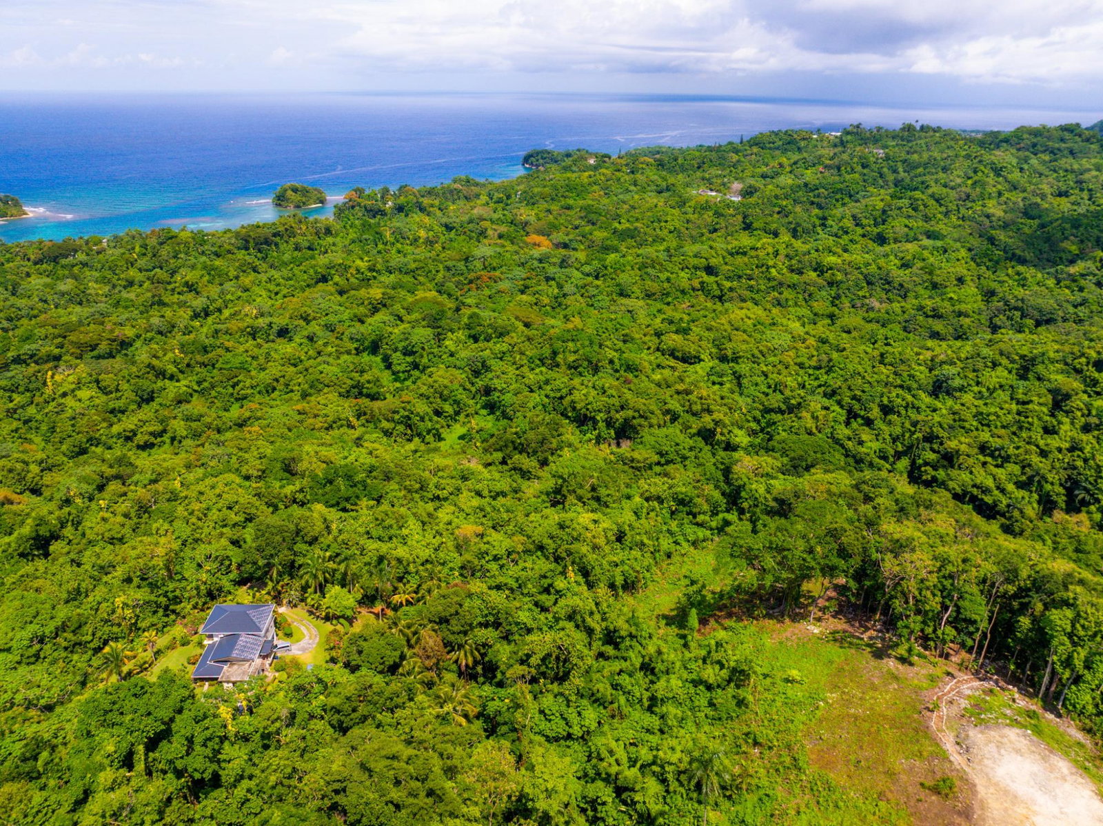 Prime-8.3-Acres-for-Sale-in-San-San-Estate-Jamaica Twenty-First image of 341 San San in Fairy Hill, Portland, Jamaica - property is For Sale