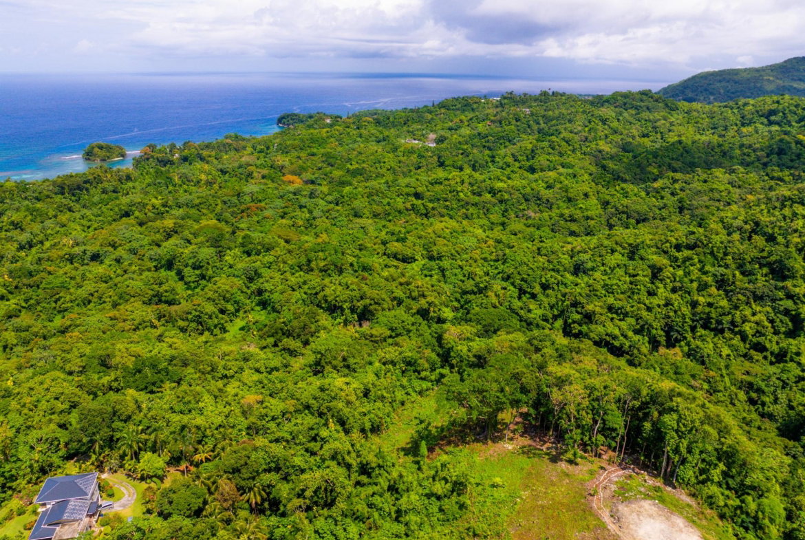 Twenty-Second image of 341 San San in Fairy Hill, Portland, Jamaica - property is For Sale