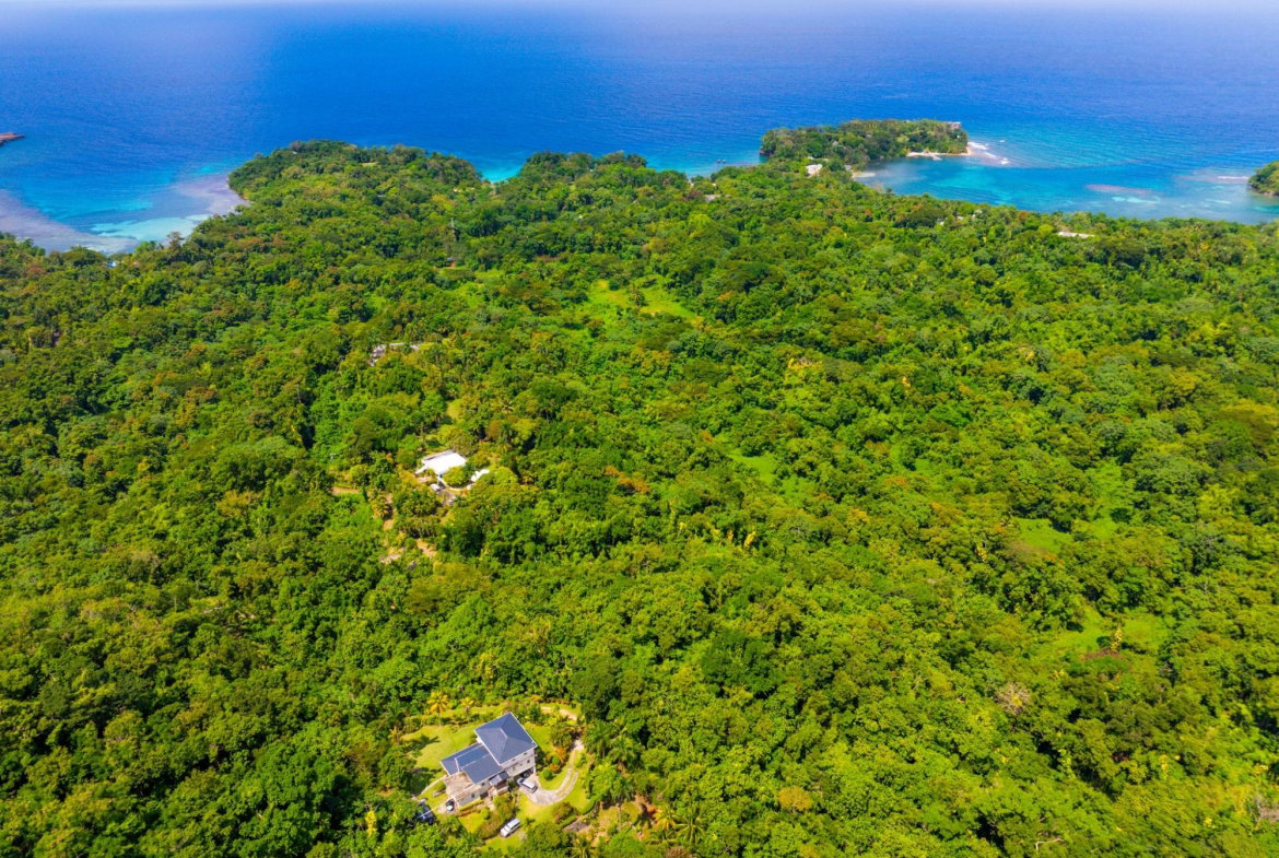 Twenty-Third image of 341 San San in Fairy Hill, Portland, Jamaica - property is For Sale