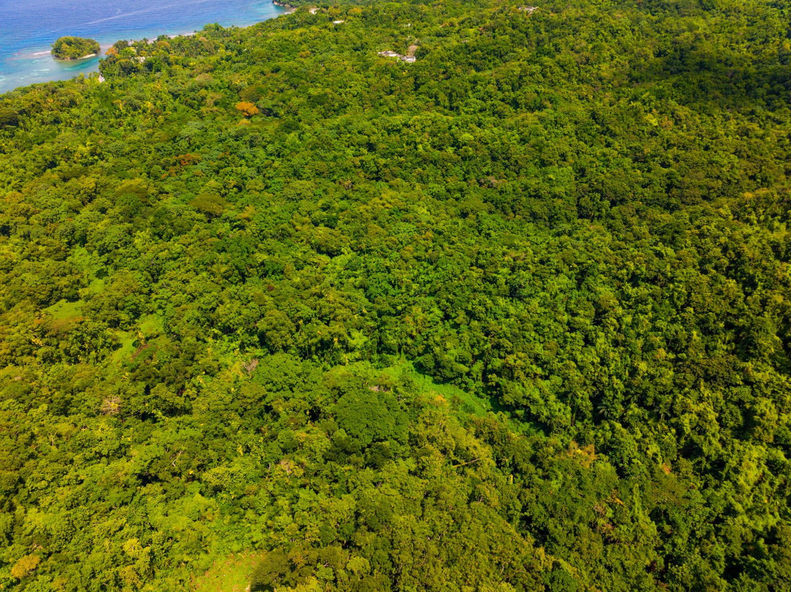 Prime-8.3-Acres-for-Sale-in-San-San-Estate-Jamaica Twenty-Fourth image of 341 San San in Fairy Hill, Portland, Jamaica - property is For Sale