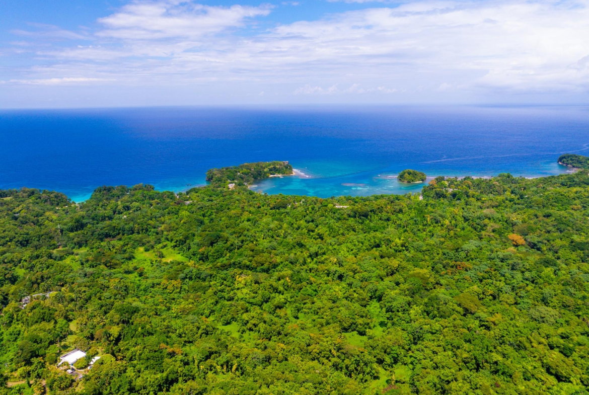 Twenty-Sixth image of 341 San San in Fairy Hill, Portland, Jamaica - property is For Sale