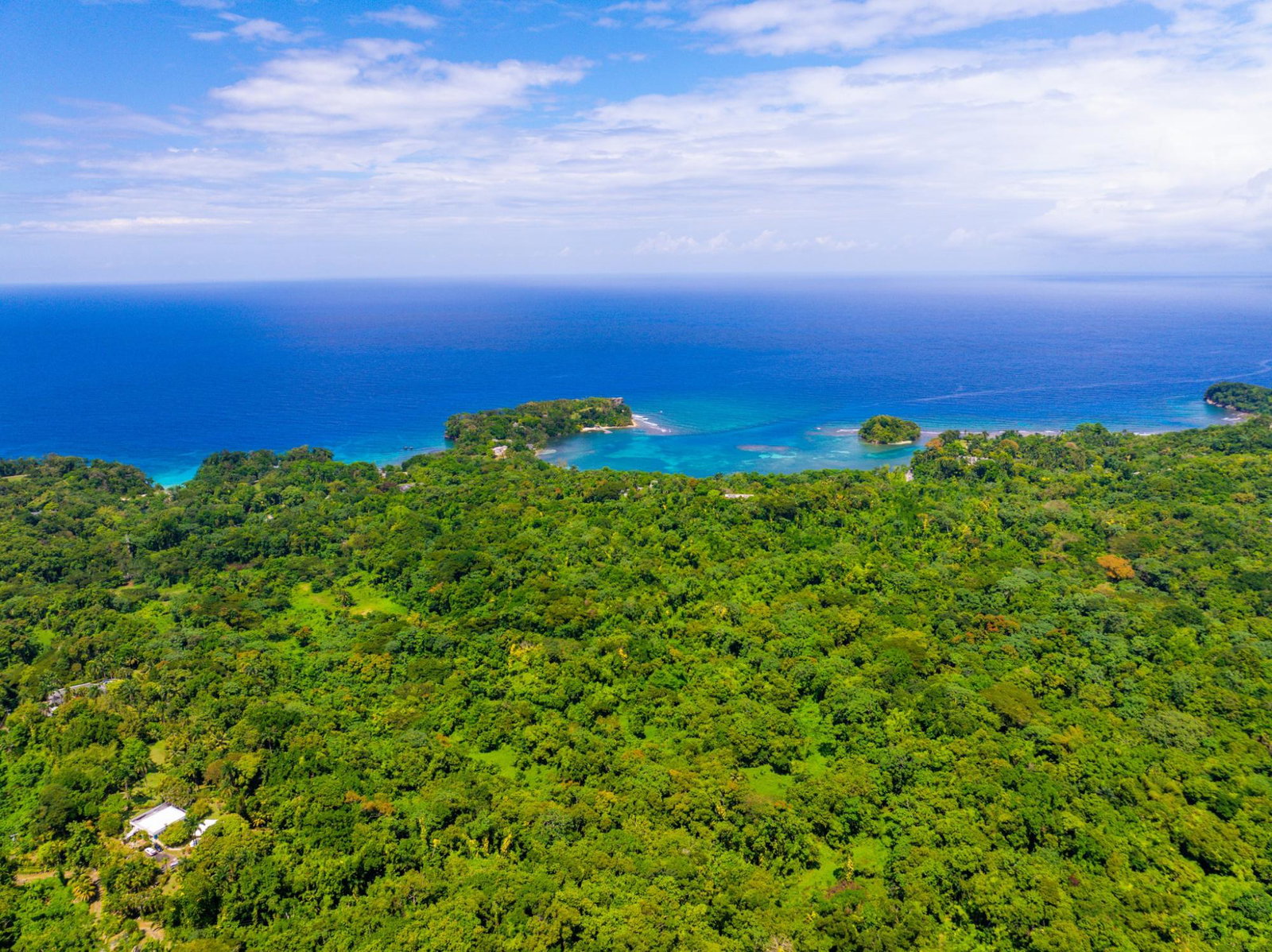 Prime-8.3-Acres-for-Sale-in-San-San-Estate-Jamaica Twenty-Sixth image of 341 San San in Fairy Hill, Portland, Jamaica - property is For Sale