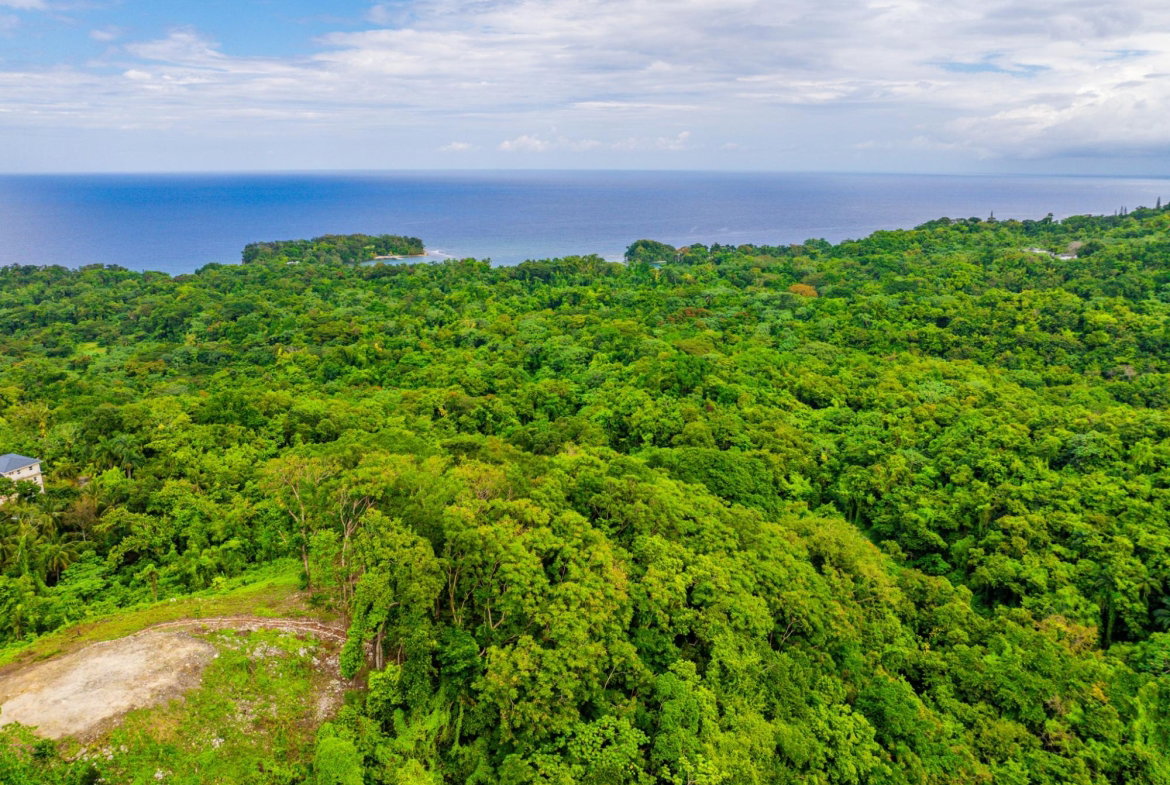 Fourth image of 341 San San in Fairy Hill, Portland, Jamaica - property is For Sale