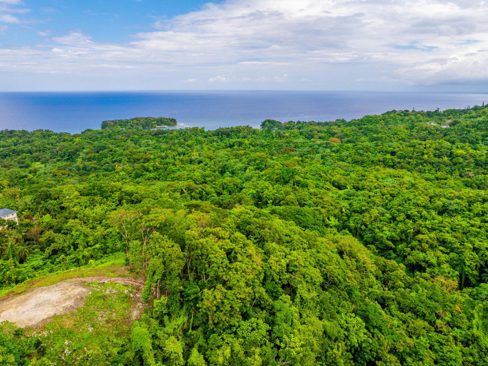 Prime-8.3-Acres-for-Sale-in-San-San-Estate-Jamaica Fourth image of 341 San San in Fairy Hill, Portland, Jamaica - property is For Sale