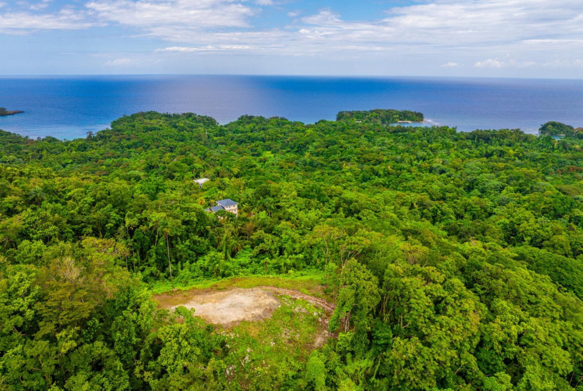Fifth image of 341 San San in Fairy Hill, Portland, Jamaica - property is For Sale