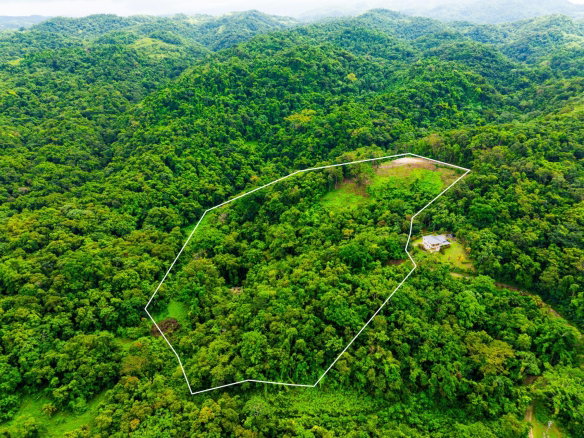 First image of 341 San San in Fairy Hill, Portland, Jamaica - property is For Sale