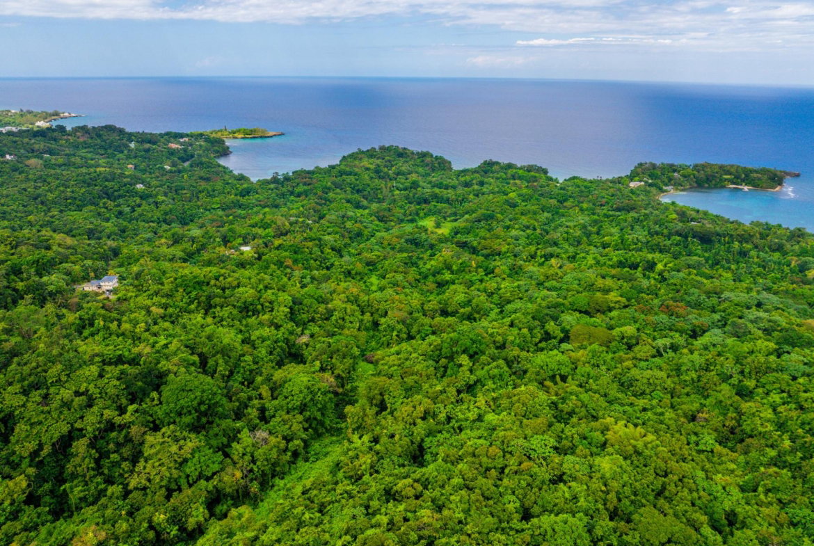 Eighth image of 341 San San in Fairy Hill, Portland, Jamaica - property is For Sale