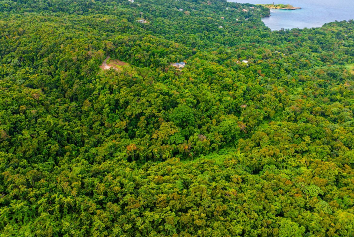Ninth image of 341 San San in Fairy Hill, Portland, Jamaica - property is For Sale