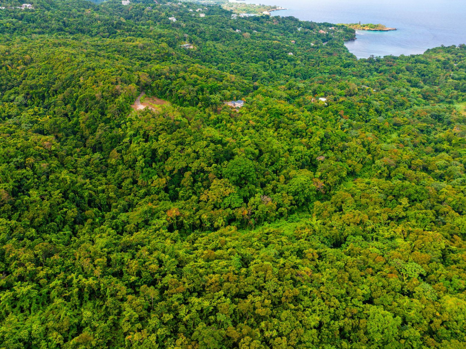 Prime-8.3-Acres-for-Sale-in-San-San-Estate-Jamaica Ninth image of 341 San San in Fairy Hill, Portland, Jamaica - property is For Sale
