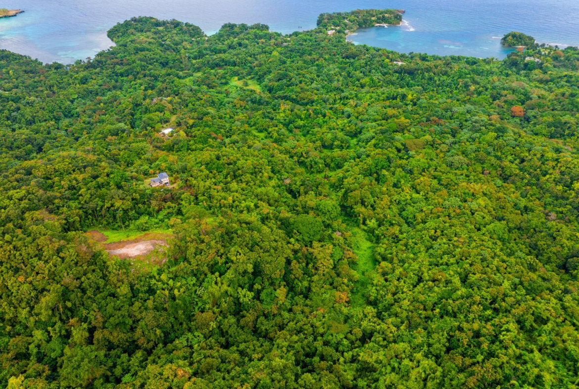 Tenth image of 341 San San in Fairy Hill, Portland, Jamaica - property is For Sale
