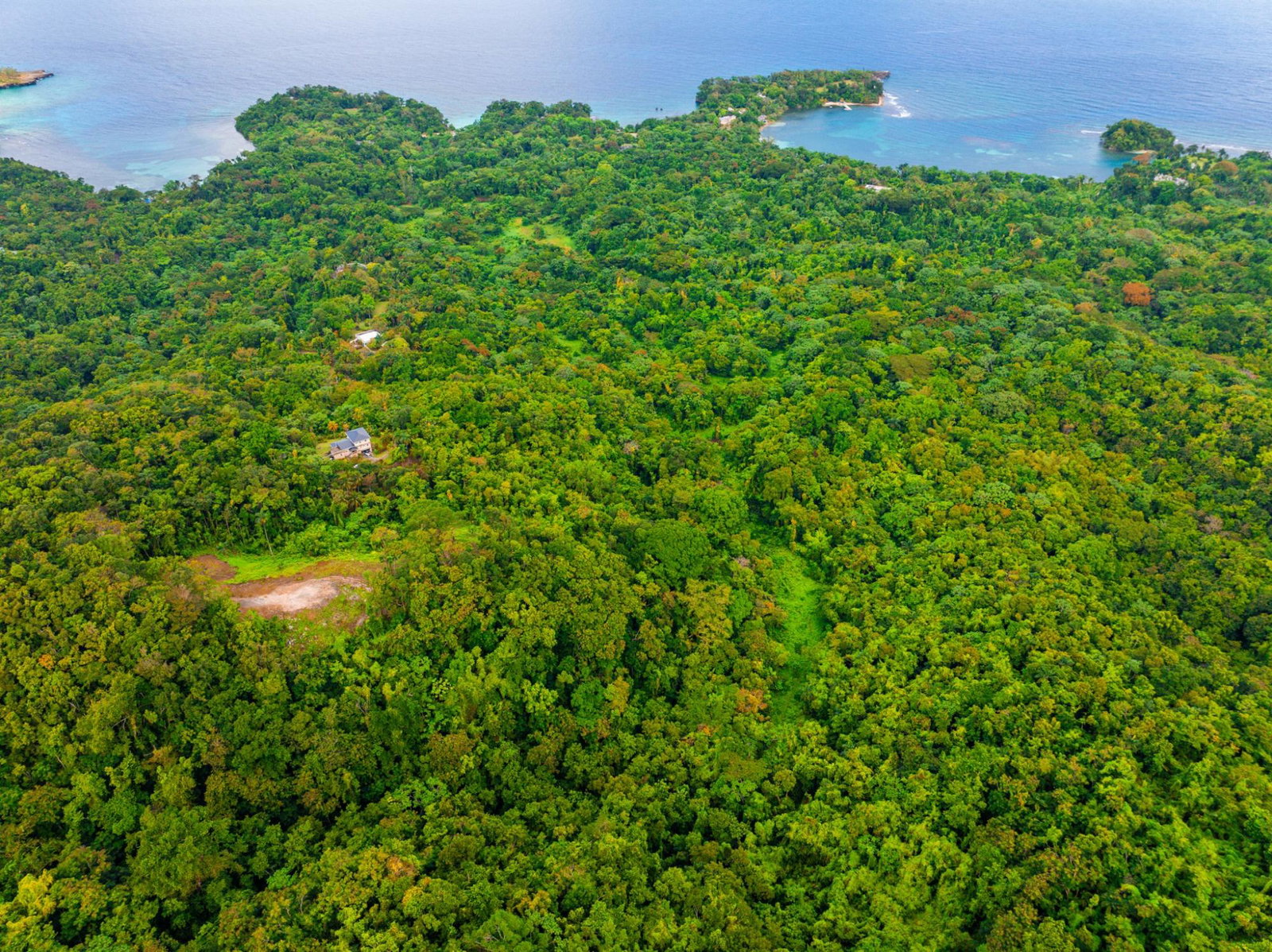 Prime-8.3-Acres-for-Sale-in-San-San-Estate-Jamaica Tenth image of 341 San San in Fairy Hill, Portland, Jamaica - property is For Sale