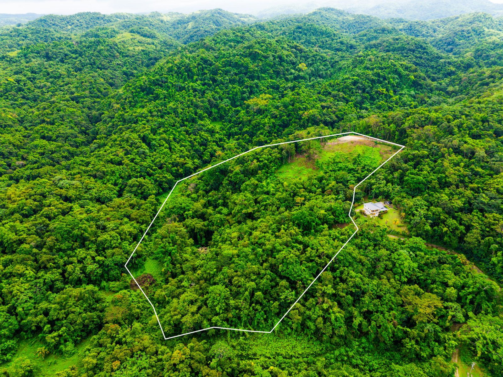 Prime-8.3-Acres-for-Sale-in-San-San-Estate-Jamaica First image of 341 San San in Fairy Hill, Portland, Jamaica - property is For Sale