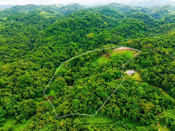 First image of 341 San San in Fairy Hill, Portland, Jamaica - property is For Sale
