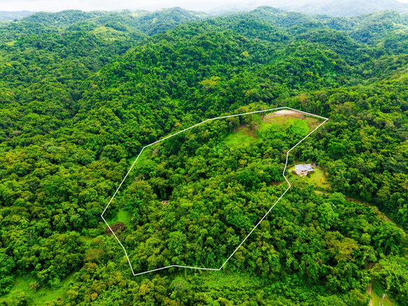 First image of 341 San San in Fairy Hill, Portland, Jamaica - property is For Sale