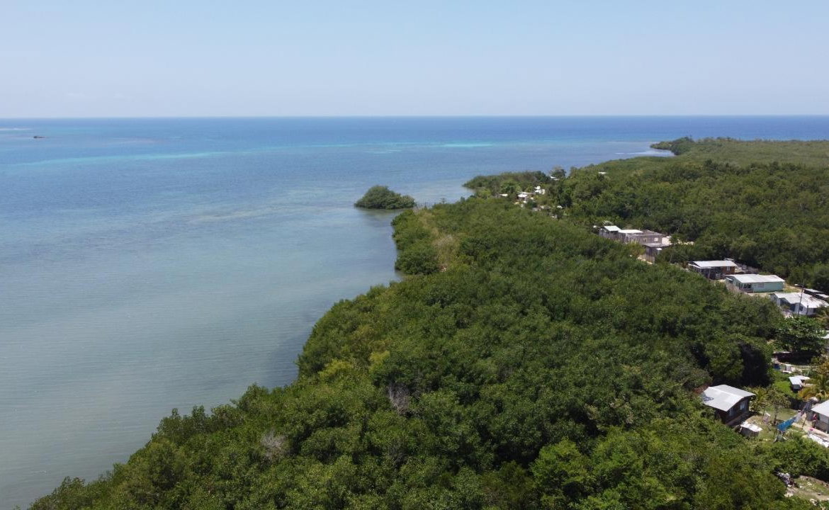 Eleventh image of Green Island in Green Island, Hanover, Jamaica - property is For Sale