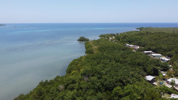 Eleventh image of Green Island in Green Island, Hanover, Jamaica - property is For Sale