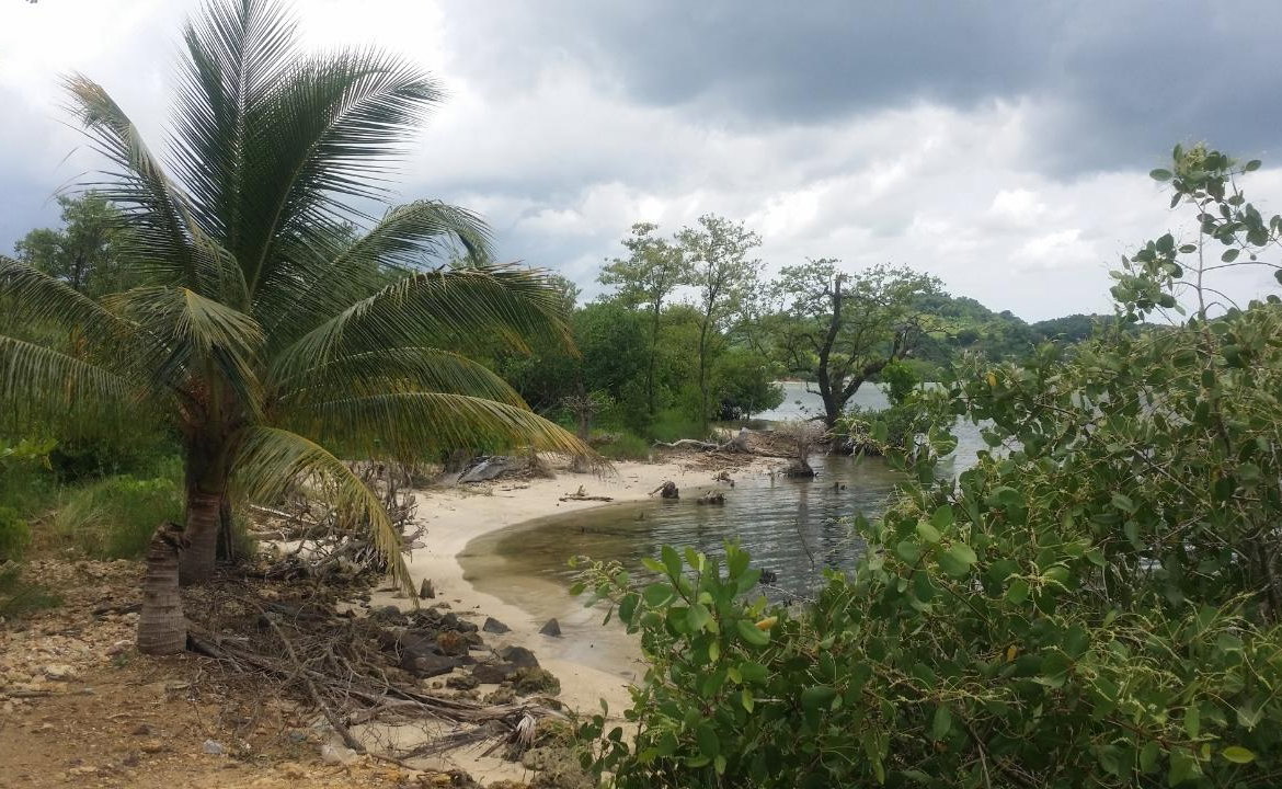 First image of Green Island in Green Island, Hanover, Jamaica - property is For Sale
