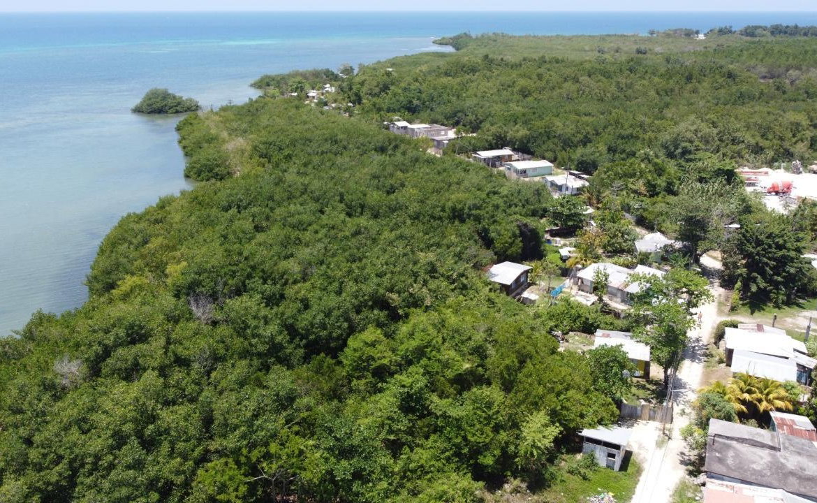 Thirteenth image of Green Island in Green Island, Hanover, Jamaica - property is For Sale