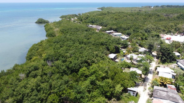 Thirteenth image of Green Island in Green Island, Hanover, Jamaica - property is For Sale