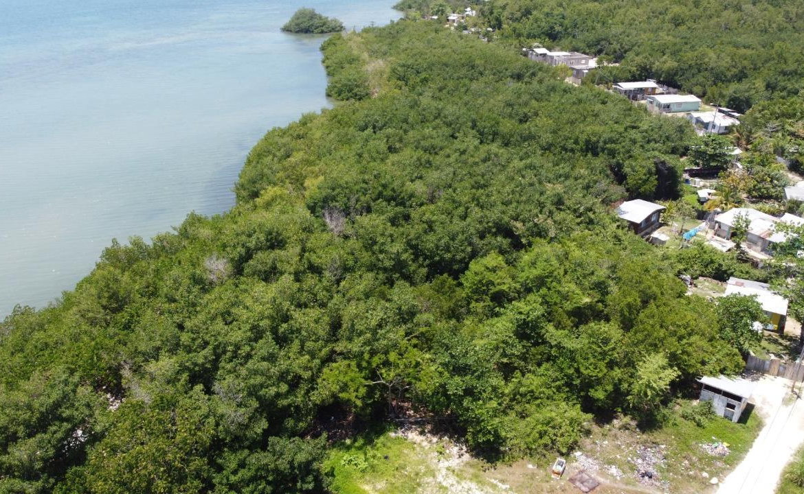 Fourteenth image of Green Island in Green Island, Hanover, Jamaica - property is For Sale