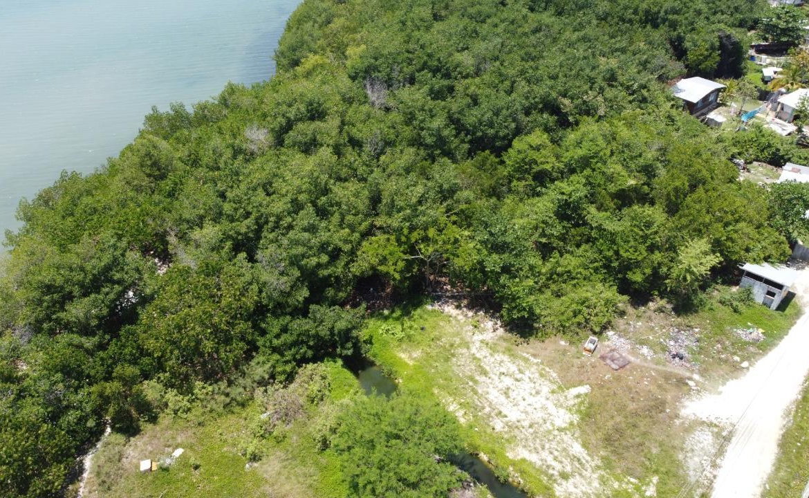 Fifteenth image of Green Island in Green Island, Hanover, Jamaica - property is For Sale