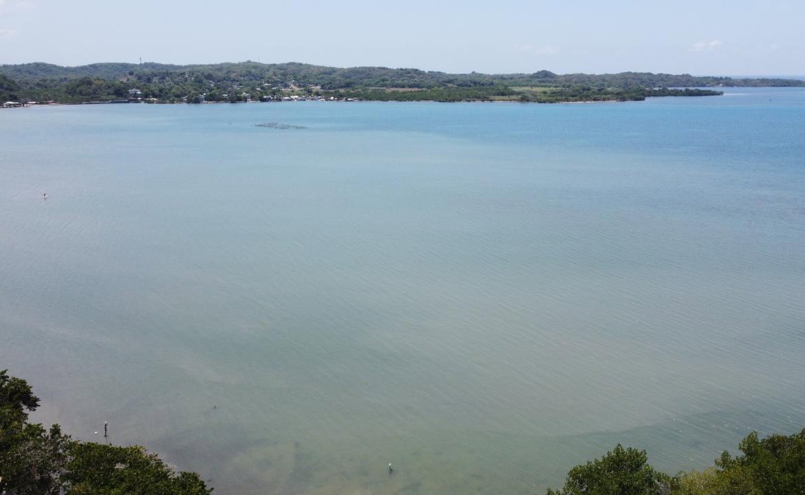 Eighteenth image of Green Island in Green Island, Hanover, Jamaica - property is For Sale