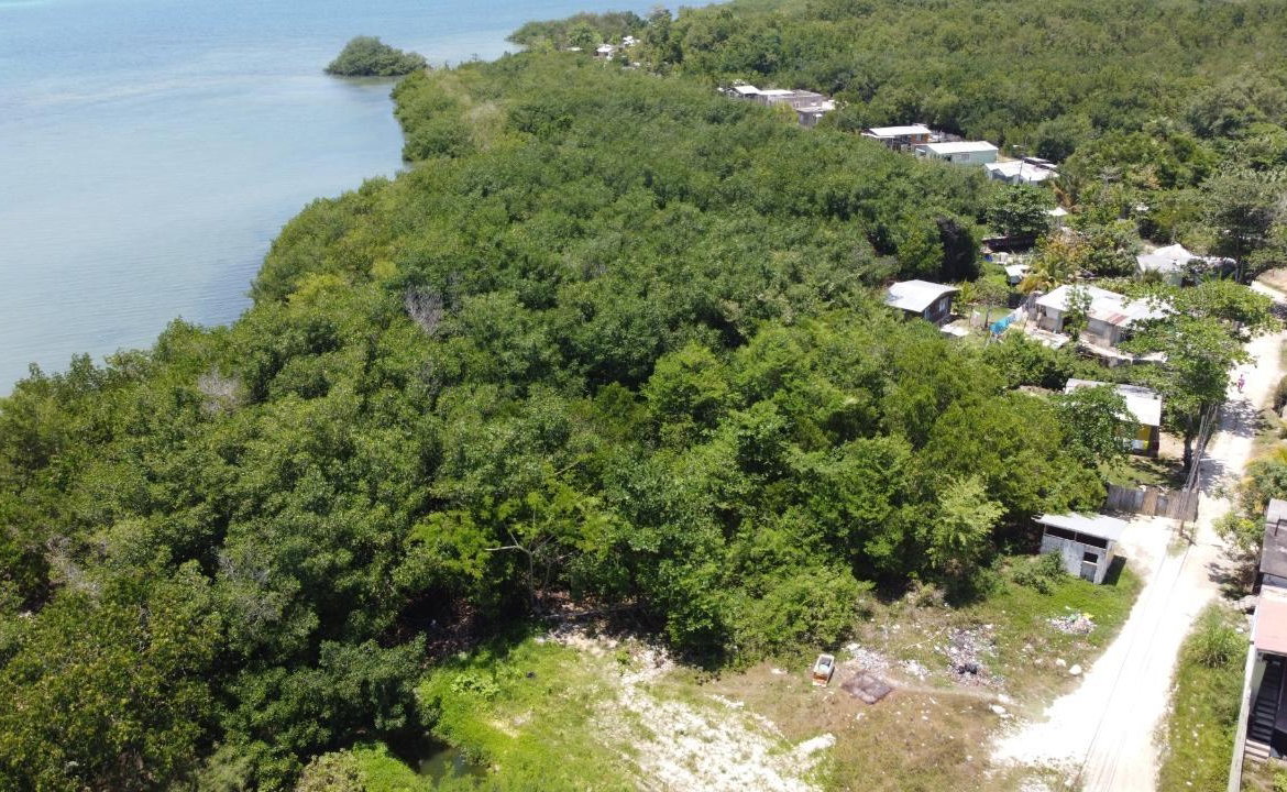 Twenty-Second image of Green Island in Green Island, Hanover, Jamaica - property is For Sale
