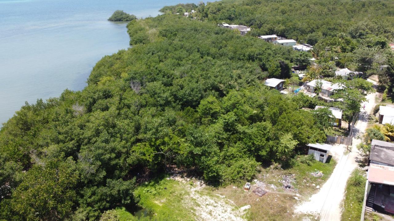 Twenty-Second image of Green Island in Green Island, Hanover, Jamaica - property is For Sale