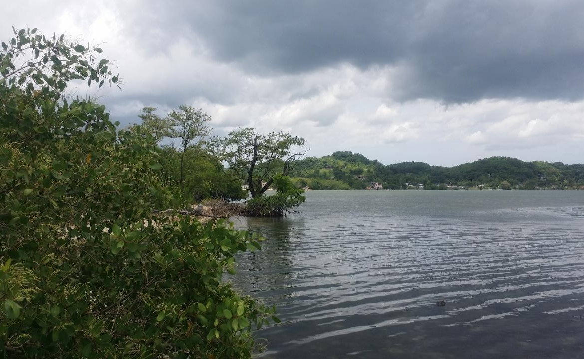 Sixth image of Green Island in Green Island, Hanover, Jamaica - property is For Sale