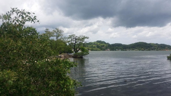 Sixth image of Green Island in Green Island, Hanover, Jamaica - property is For Sale