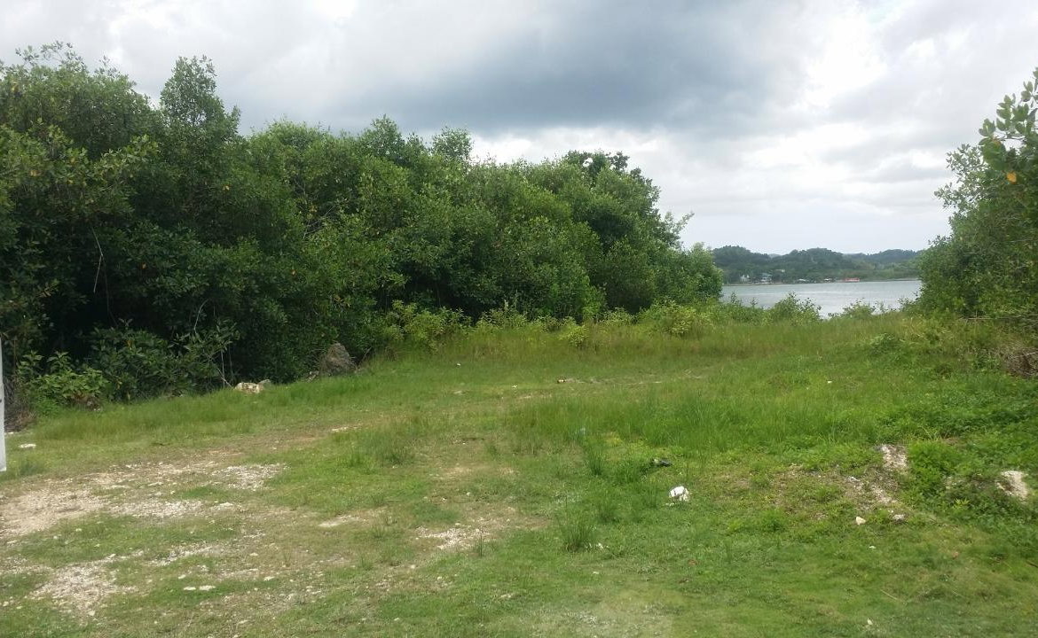Seventh image of Green Island in Green Island, Hanover, Jamaica - property is For Sale