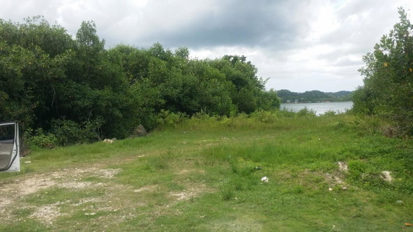 Seventh image of Green Island in Green Island, Hanover, Jamaica - property is For Sale