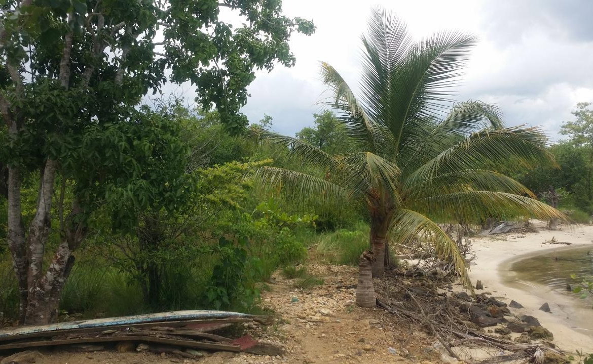 Eighth image of Green Island in Green Island, Hanover, Jamaica - property is For Sale