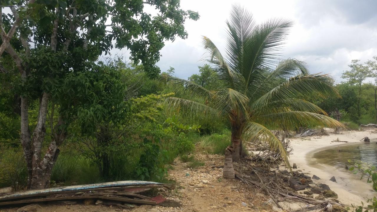 Eighth image of Green Island in Green Island, Hanover, Jamaica - property is For Sale