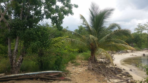 Eighth image of Green Island in Green Island, Hanover, Jamaica - property is For Sale