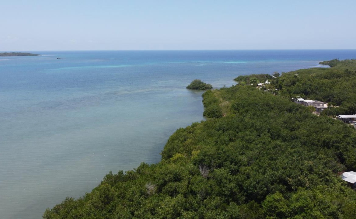 Tenth image of Green Island in Green Island, Hanover, Jamaica - property is For Sale