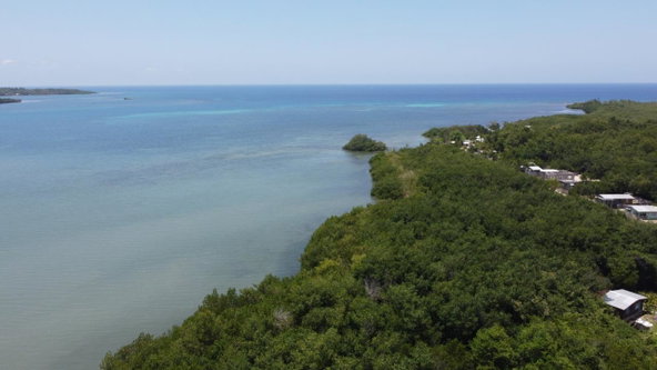 Tenth image of Green Island in Green Island, Hanover, Jamaica - property is For Sale