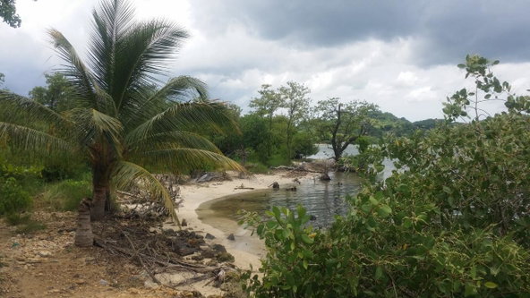 First image of Green Island in Green Island, Hanover, Jamaica - property is For Sale