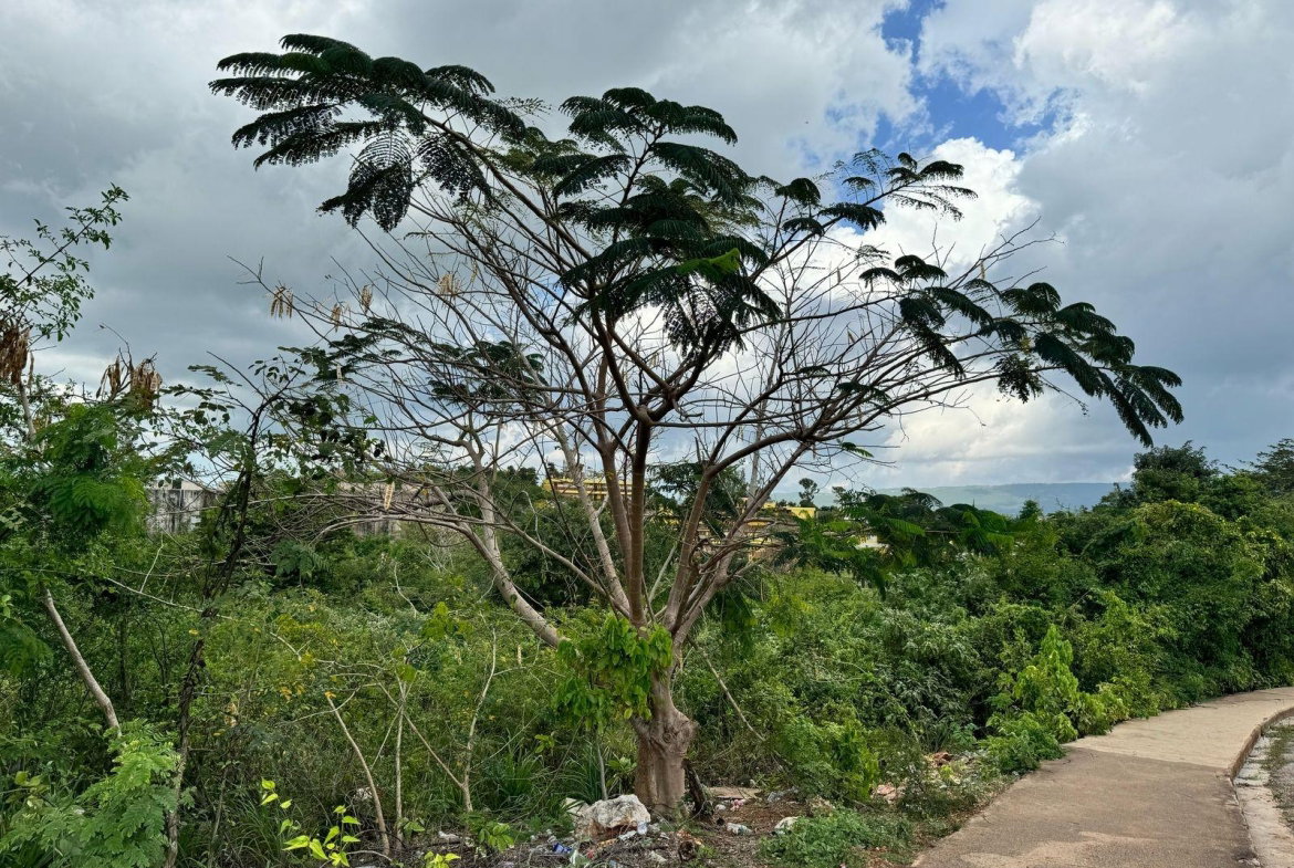 Third image of Junction, St. Elizabeth in Junction, St. Elizabeth, Jamaica - property is For Sale