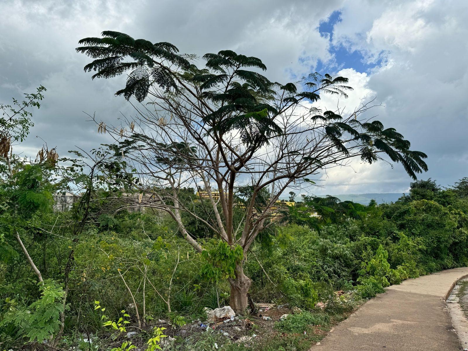 Third image of Junction, St. Elizabeth in Junction, St. Elizabeth, Jamaica - property is For Sale