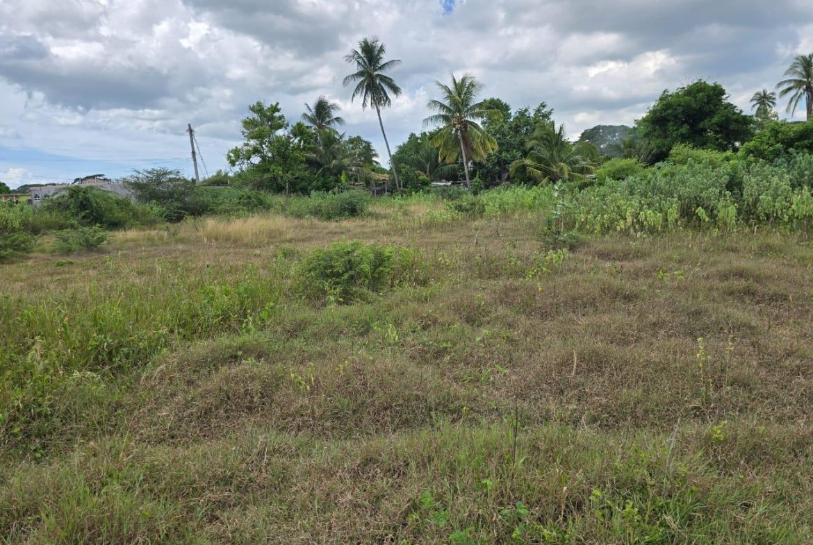 Second image of 88 Old Harbour Road in Old Harbour, St. Catherine, Jamaica - property is For Sale