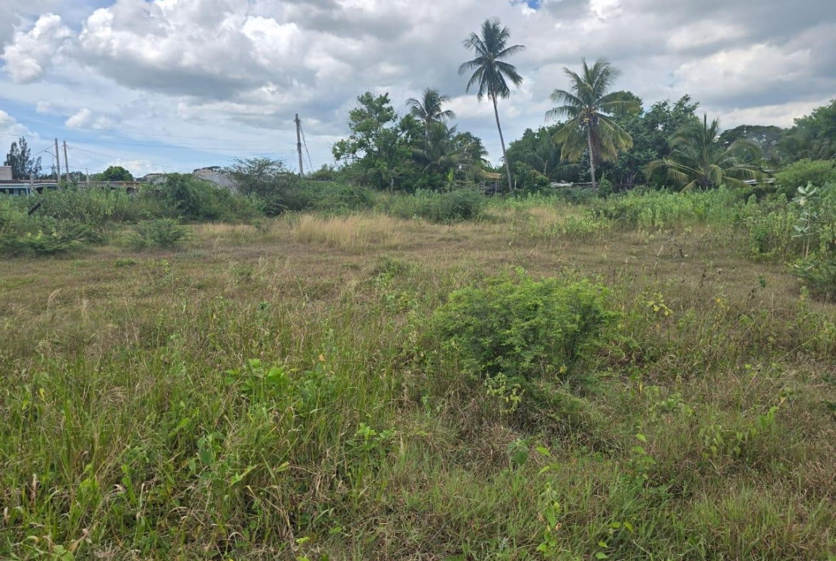 Third image of 88 Old Harbour Road in Old Harbour, St. Catherine, Jamaica - property is For Sale