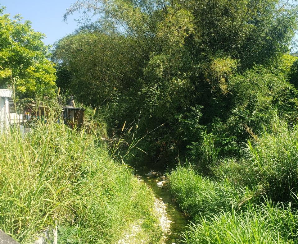 Sixth image of Trinity in Port Maria, St. Mary, Jamaica - property is For Sale