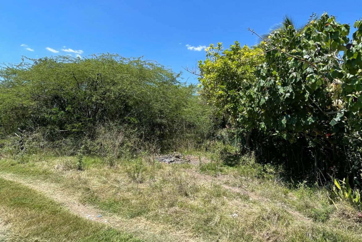 First image of 20 Glenmuir in Denbigh, Clarendon, Jamaica - property is For Sale