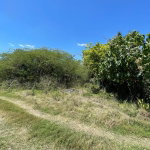 First image of 20 Glenmuir in Denbigh, Clarendon, Jamaica - property is For Sale