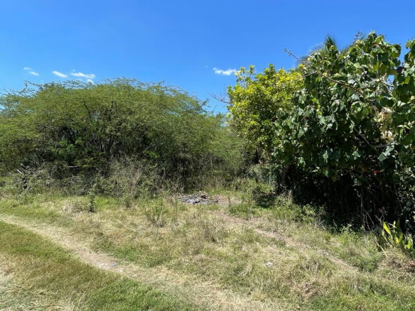 First image of 20 Glenmuir in Denbigh, Clarendon, Jamaica - property is For Sale