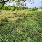 First image of 31 Chang Avenue in May Pen, Clarendon, Jamaica - property is For Sale