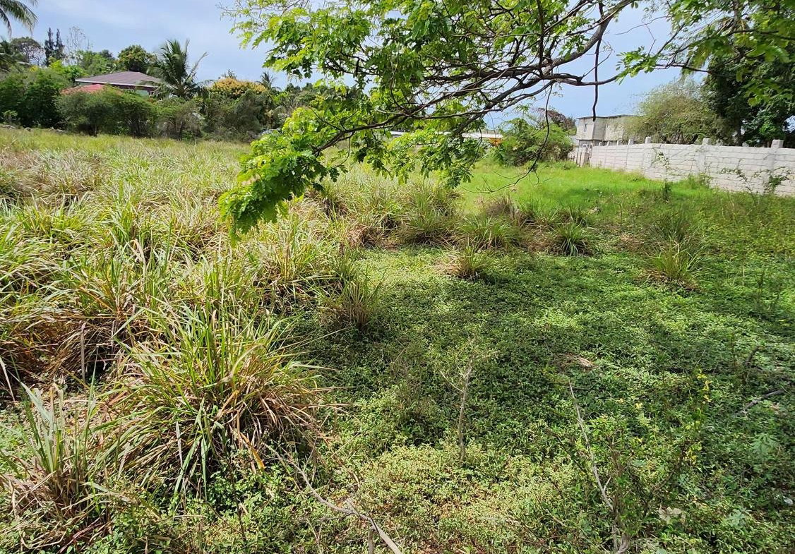 Third image of 31 Chang Avenue in May Pen, Clarendon, Jamaica - property is For Sale