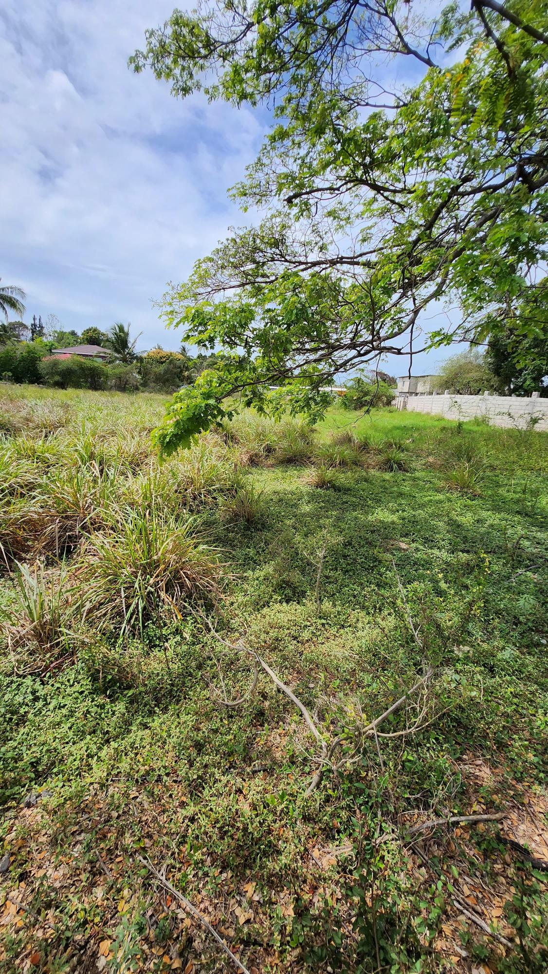 Third image of 31 Chang Avenue in May Pen, Clarendon, Jamaica - property is For Sale