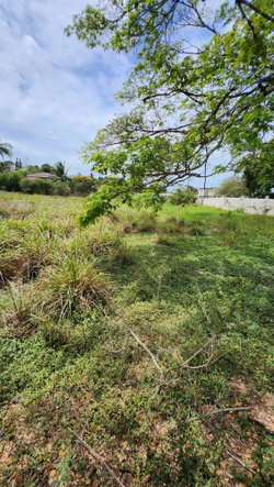 Third image of 31 Chang Avenue in May Pen, Clarendon, Jamaica - property is For Sale